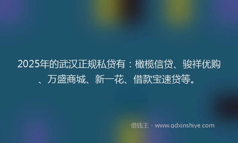 2025年的武汉正规私贷有：橄榄信贷、骏祥优购、万盛商城、新一花、借款宝速贷等。