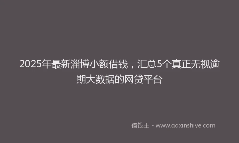 2025年最新淄博小额借钱，汇总5个真正无视逾期大数据的网贷平台