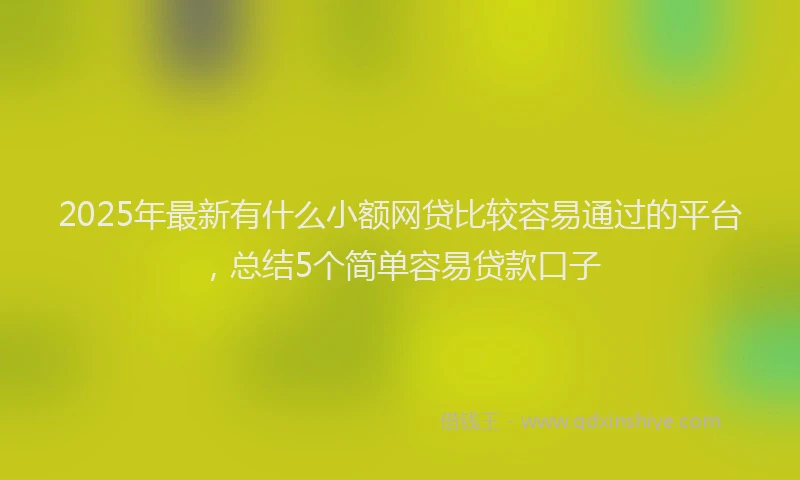 2025年最新有什么小额网贷比较容易通过的平台，总结5个简单容易贷款口子