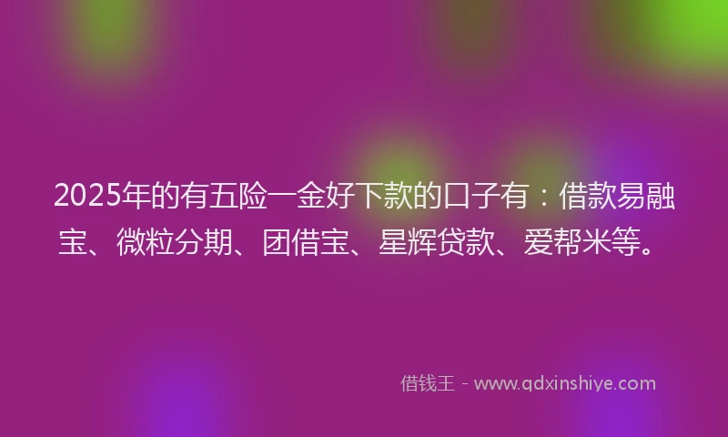 2025年的有五险一金好下款的口子有：借款易融宝、微粒分期、团借宝、星辉贷款、爱帮米等。