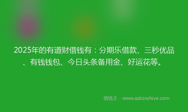 2025年的有道财借钱有：分期乐借款、三秒优品、有钱钱包、今日头条备用金、好运花等。