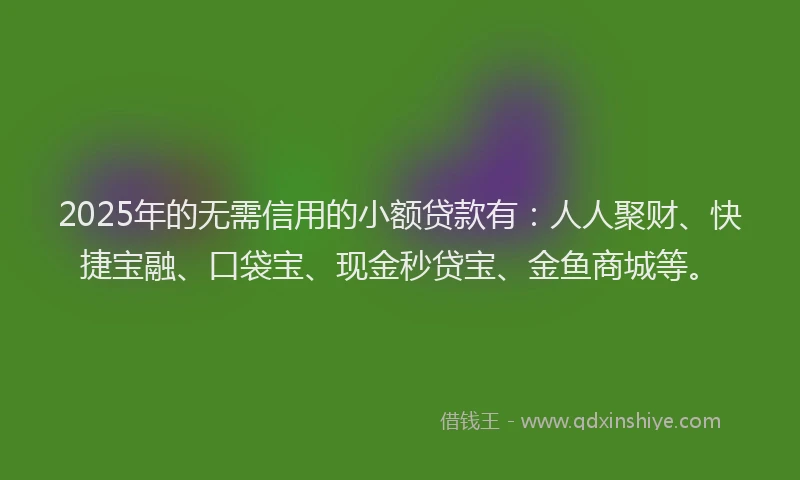 2025年的无需信用的小额贷款有：人人聚财、快捷宝融、口袋宝、现金秒贷宝、金鱼商城等。
