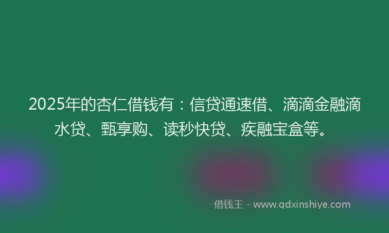 2025年的杏仁借钱有：信贷通速借、滴滴金融滴水贷、甄享购、读秒快贷、疾融宝盒等。
