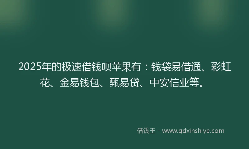 2025年的极速借钱呗苹果有：钱袋易借通、彩虹花、金易钱包、甄易贷、中安信业等。