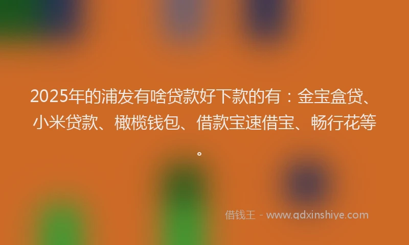 2025年的浦发有啥贷款好下款的有：金宝盒贷、小米贷款、橄榄钱包、借款宝速借宝、畅行花等。