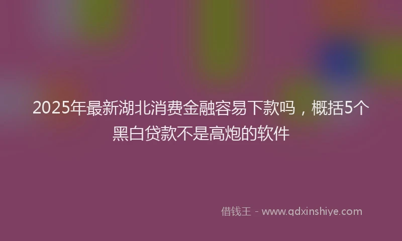 2025年最新湖北消费金融容易下款吗，概括5个黑白贷款不是高炮的软件
