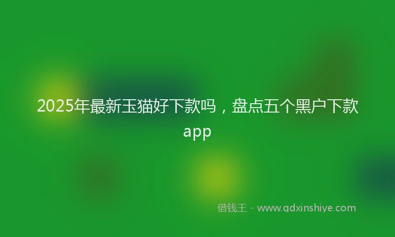 2025年最新玉猫好下款吗，盘点五个黑户下款app