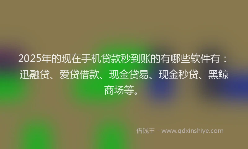 2025年的现在手机贷款秒到账的有哪些软件有：迅融贷、爱贷借款、现金贷易、现金秒贷、黑鲸商场等。