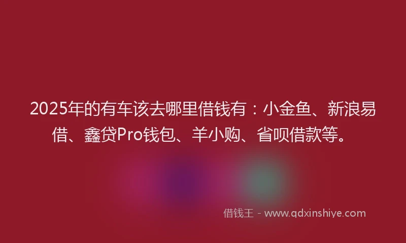 2025年的有车该去哪里借钱有：小金鱼、新浪易借、鑫贷Pro钱包、羊小购、省呗借款等。