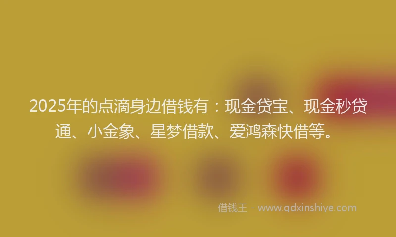 2025年的点滴身边借钱有：现金贷宝、现金秒贷通、小金象、星梦借款、爱鸿森快借等。