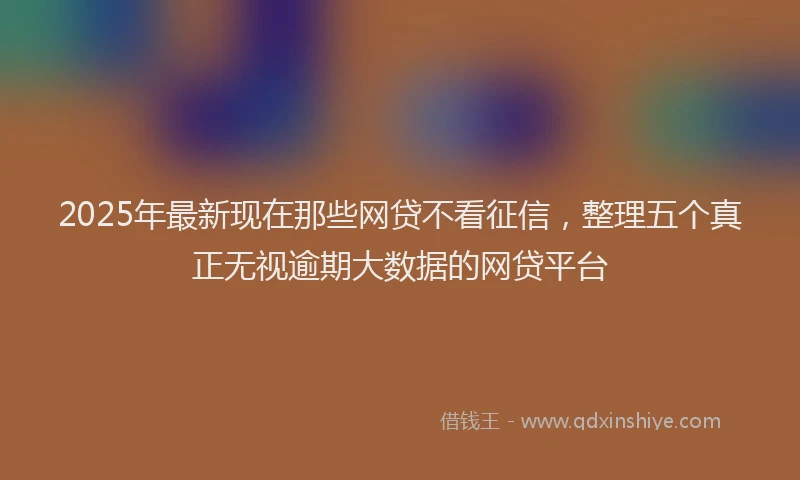 2025年最新现在那些网贷不看征信，整理五个真正无视逾期大数据的网贷平台