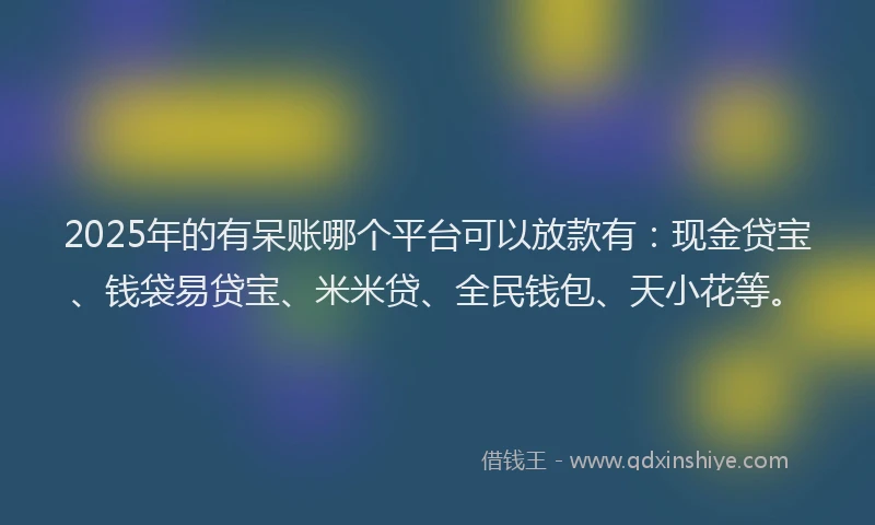 2025年的有呆账哪个平台可以放款有：现金贷宝、钱袋易贷宝、米米贷、全民钱包、天小花等。