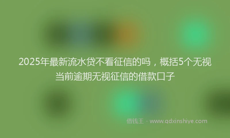 2025年最新流水贷不看征信的吗，概括5个无视当前逾期无视征信的借款口子