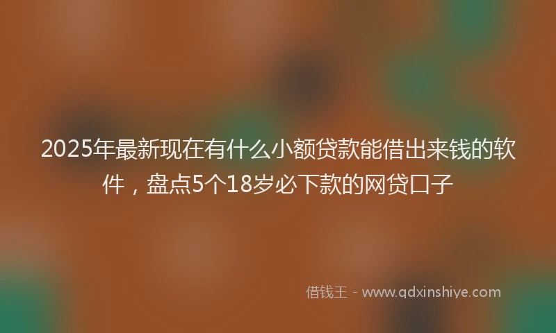 2025年最新现在有什么小额贷款能借出来钱的软件，盘点5个18岁必下款的网贷口子