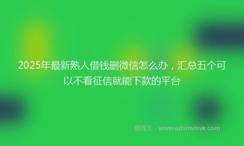 2025年最新熟人借钱删微信怎么办，汇总五个可以不看征信就能下款的平台