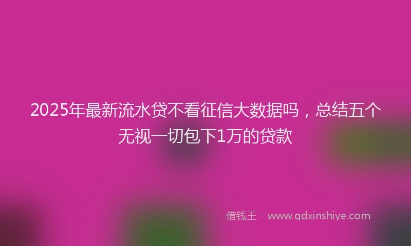 2025年最新流水贷不看征信大数据吗，总结五个无视一切包下1万的贷款