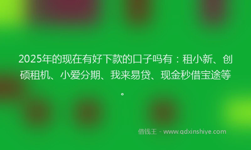 2025年的现在有好下款的口子吗有：租小新、创硕租机、小爱分期、我来易贷、现金秒借宝途等。