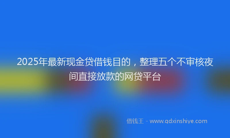 2025年最新现金贷借钱目的，整理五个不审核夜间直接放款的网贷平台