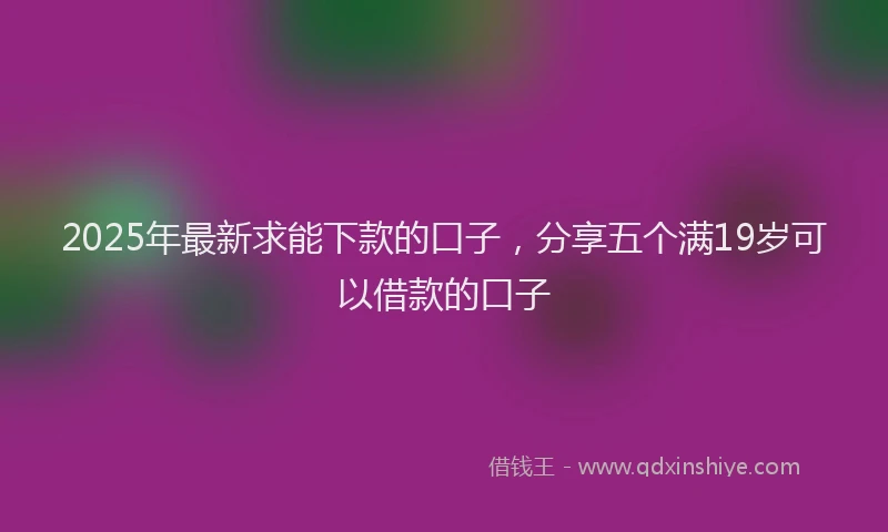 2025年最新求能下款的口子，分享五个满19岁可以借款的口子