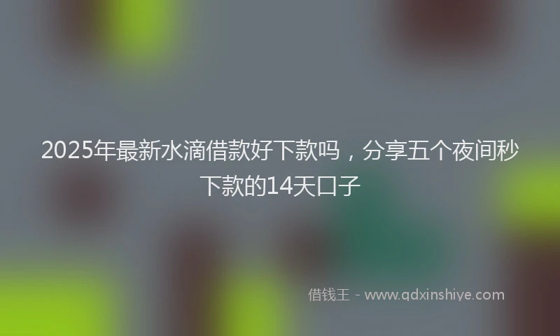 2025年最新水滴借款好下款吗，分享五个夜间秒下款的14天口子