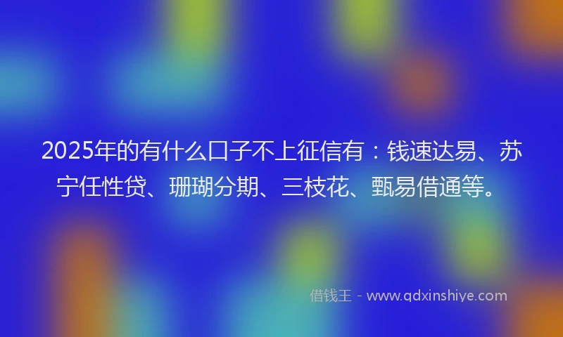 2025年的有什么口子不上征信有：钱速达易、苏宁任性贷、珊瑚分期、三枝花、甄易借通等。
