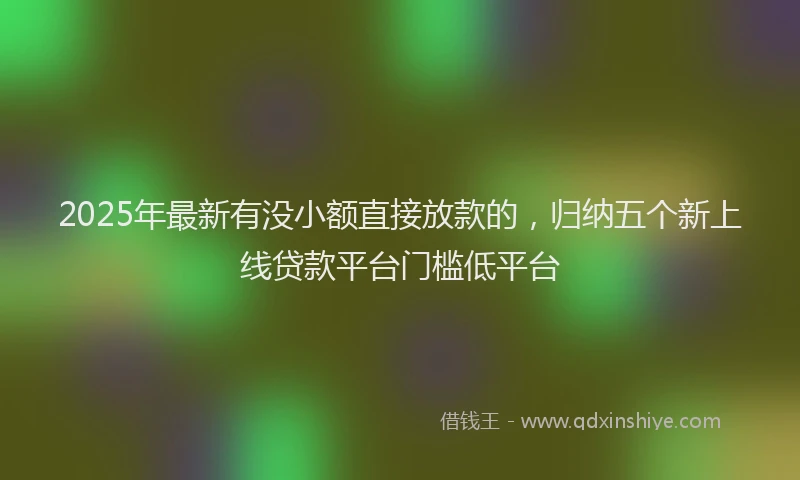 2025年最新有没小额直接放款的，归纳五个新上线贷款平台门槛低平台