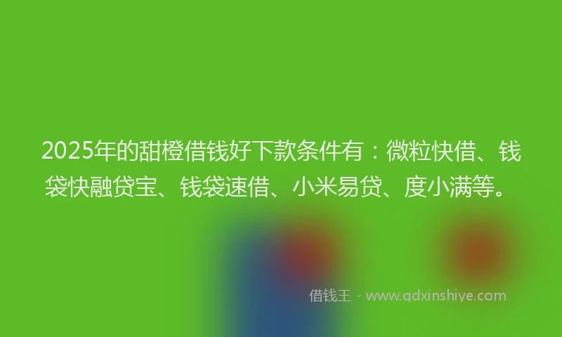 2025年的甜橙借钱好下款条件有：微粒快借、钱袋快融贷宝、钱袋速借、小米易贷、度小满等。