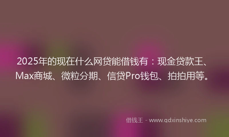 2025年的现在什么网贷能借钱有：现金贷款王、Max商城、微粒分期、信贷Pro钱包、拍拍用等。