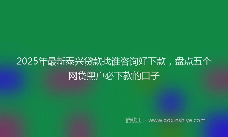 2025年最新泰兴贷款找谁咨询好下款，盘点五个网贷黑户必下款的口子