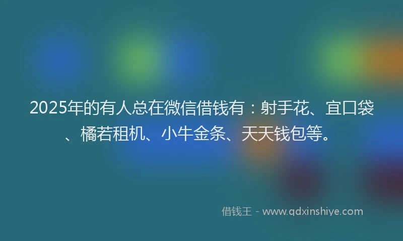 2025年的有人总在微信借钱有：射手花、宜口袋、橘若租机、小牛金条、天天钱包等。