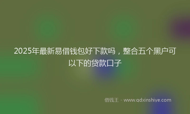 2025年最新易借钱包好下款吗，整合五个黑户可以下的贷款口子