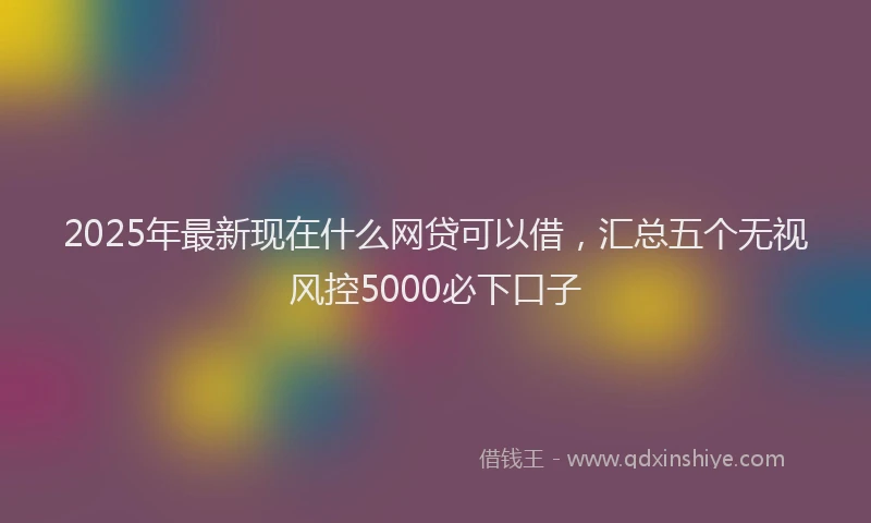 2025年最新现在什么网贷可以借，汇总五个无视风控5000必下口子