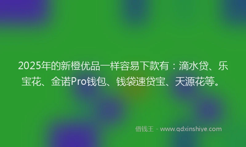 2025年的新橙优品一样容易下款有：滴水贷、乐宝花、金诺Pro钱包、钱袋速贷宝、天源花等。