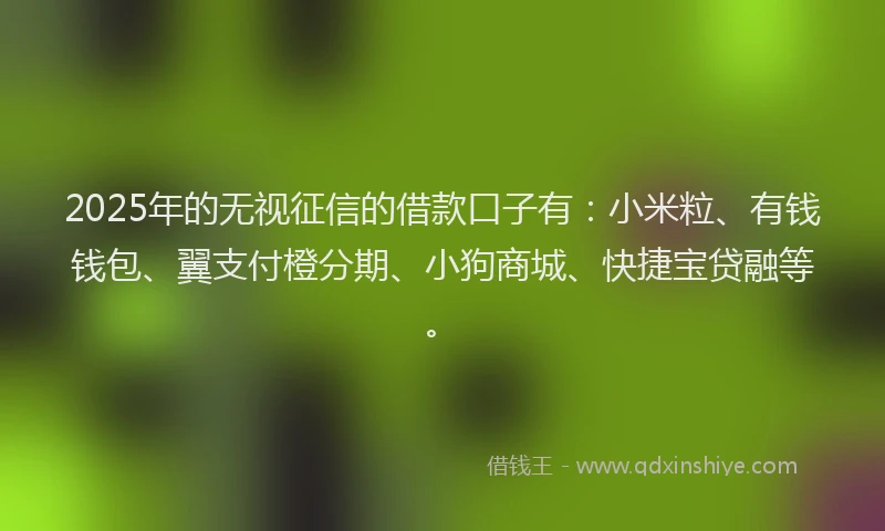 2025年的无视征信的借款口子有：小米粒、有钱钱包、翼支付橙分期、小狗商城、快捷宝贷融等。