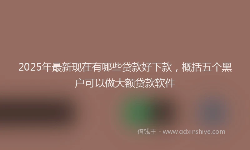 2025年最新现在有哪些贷款好下款，概括五个黑户可以做大额贷款软件