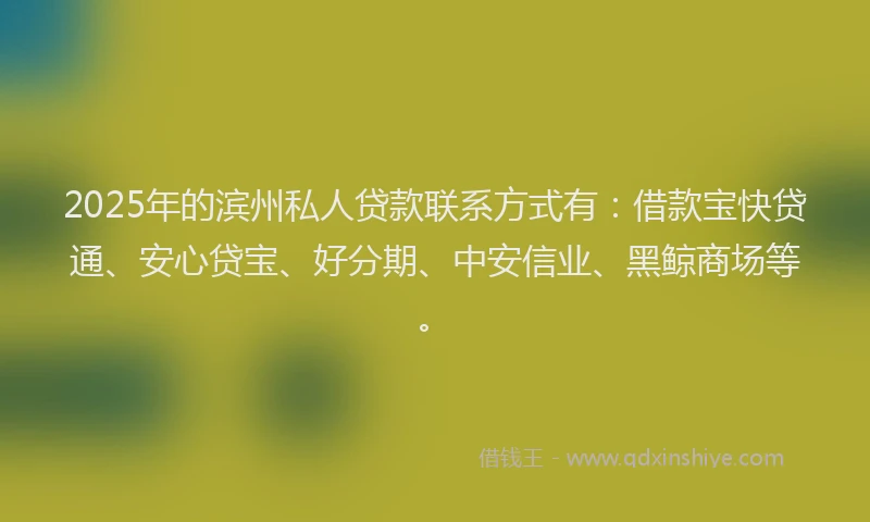 2025年的滨州私人贷款联系方式有：借款宝快贷通、安心贷宝、好分期、中安信业、黑鲸商场等。