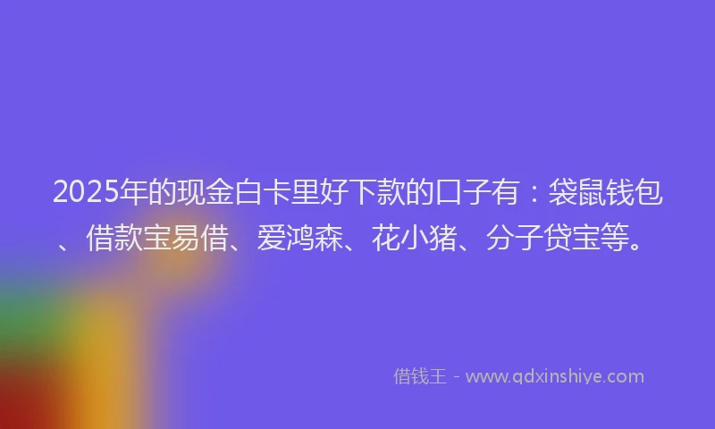 2025年的现金白卡里好下款的口子有：袋鼠钱包、借款宝易借、爱鸿森、花小猪、分子贷宝等。