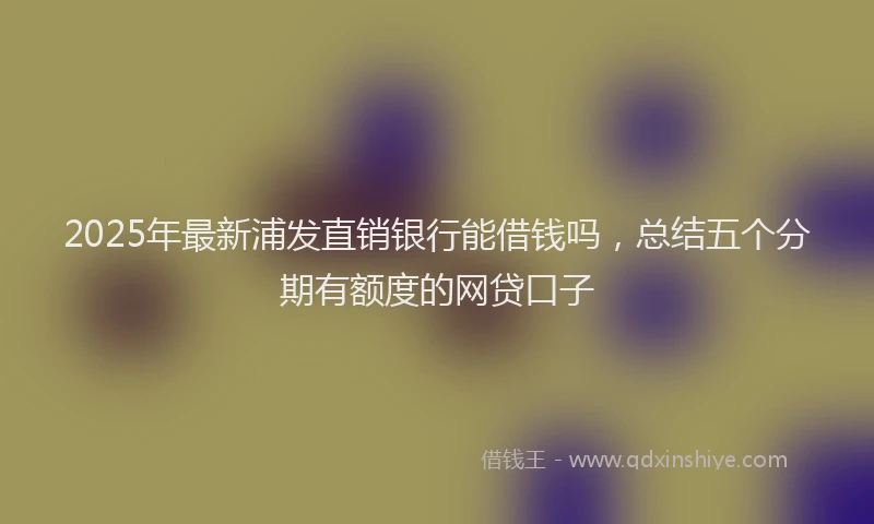 2025年最新浦发直销银行能借钱吗，总结五个分期有额度的网贷口子