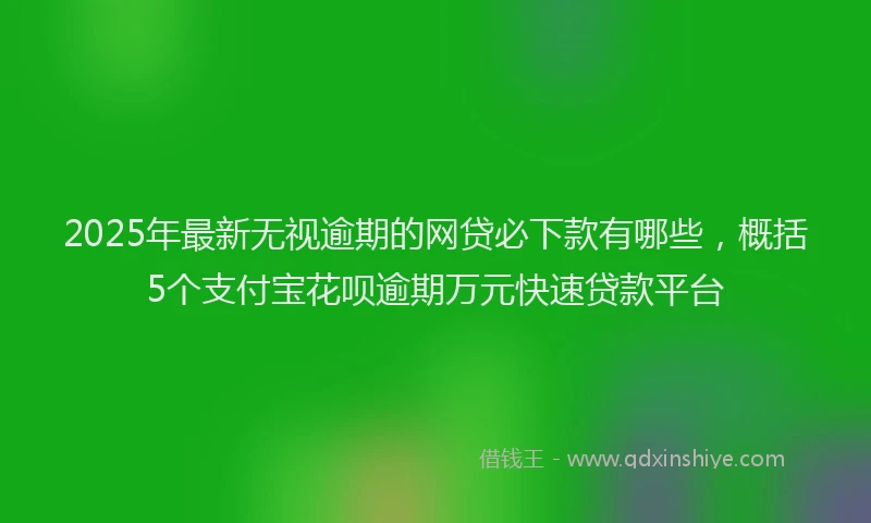 2025年最新无视逾期的网贷必下款有哪些，概括5个支付宝花呗逾期万元快速贷款平台