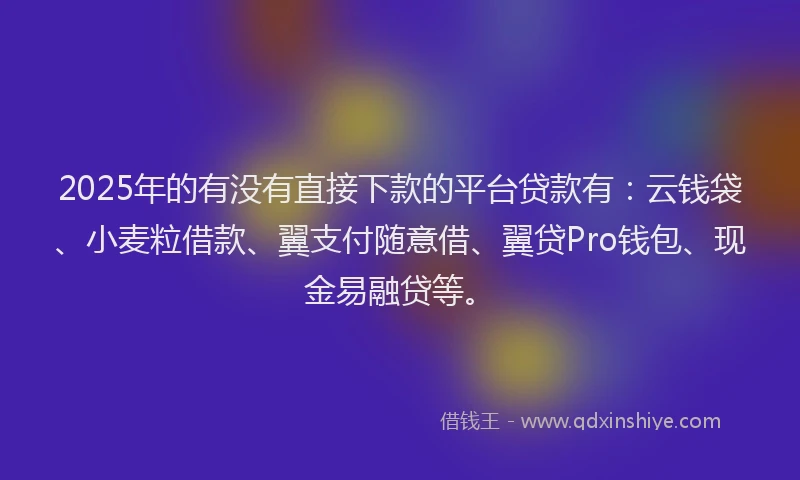 2025年的有没有直接下款的平台贷款有：云钱袋、小麦粒借款、翼支付随意借、翼贷Pro钱包、现金易融贷等。
