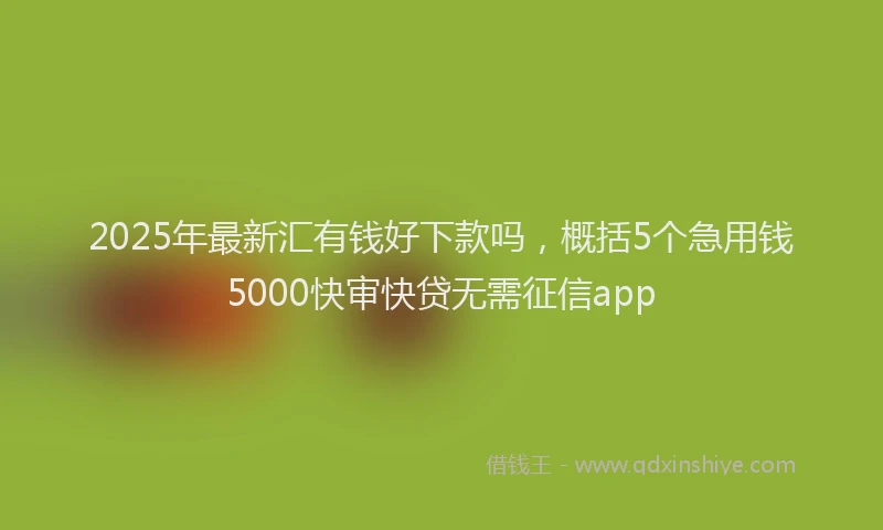 2025年最新汇有钱好下款吗，概括5个急用钱5000快审快贷无需征信app