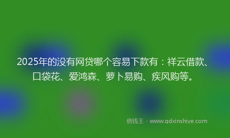 2025年的没有网贷哪个容易下款有：祥云借款、口袋花、爱鸿森、萝卜易购、疾风购等。