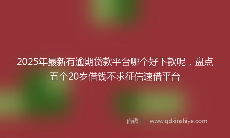 2025年最新有逾期贷款平台哪个好下款呢，盘点五个20岁借钱不求征信速借平台
