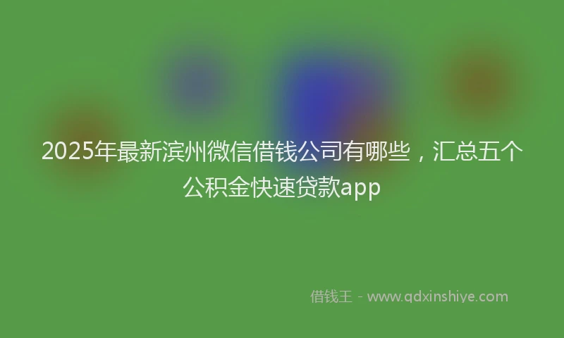 2025年最新滨州微信借钱公司有哪些，汇总五个公积金快速贷款app