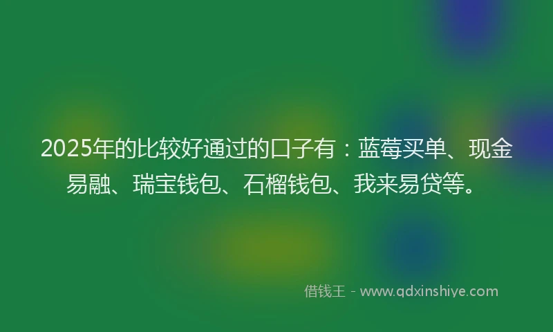 2025年的比较好通过的口子有：蓝莓买单、现金易融、瑞宝钱包、石榴钱包、我来易贷等。