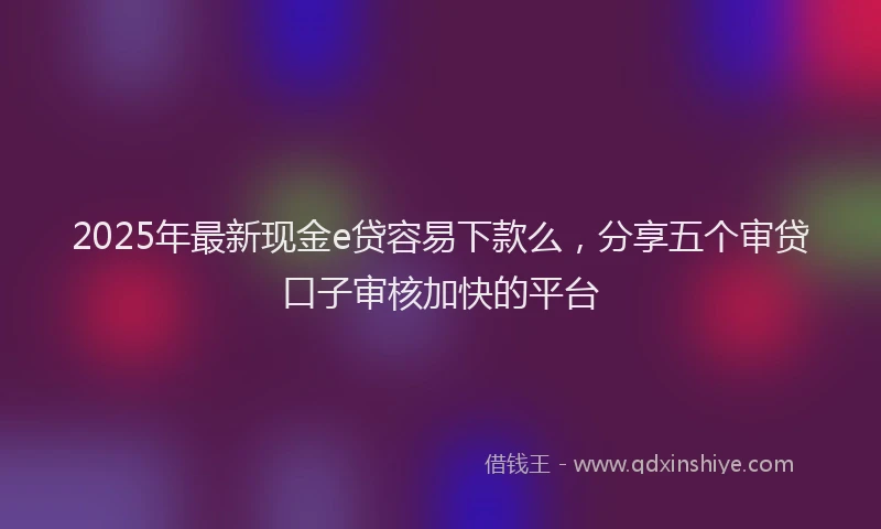 2025年最新现金e贷容易下款么，分享五个审贷口子审核加快的平台