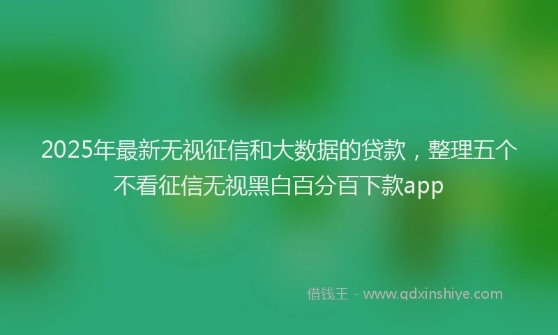 2025年最新无视征信和大数据的贷款，整理五个不看征信无视黑白百分百下款app