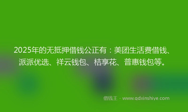 2025年的无抵押借钱公正有：美团生活费借钱、派派优选、祥云钱包、桔享花、普惠钱包等。