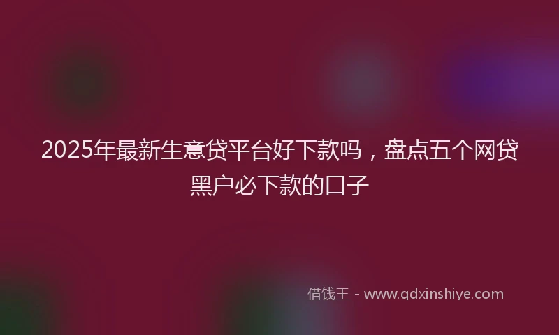 2025年最新生意贷平台好下款吗，盘点五个网贷黑户必下款的口子