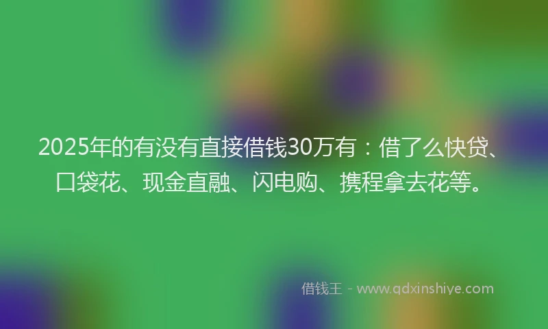 2025年的有没有直接借钱30万有：借了么快贷、口袋花、现金直融、闪电购、携程拿去花等。